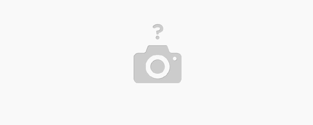 Blog Single